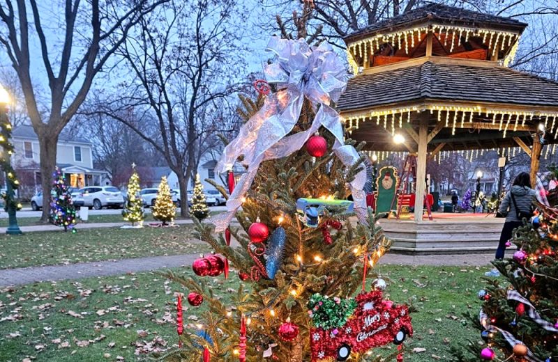 Photo of a decorated christmas tree at Dexter Michigan for Light up Dexter Holiday Event